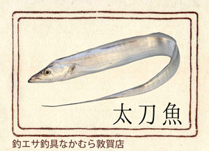 太刀魚(たちうお)