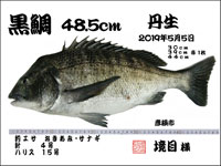境目様_平成31年5月5日黒鯛48.5cm