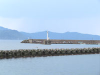 菅浜漁港を公園から撮影