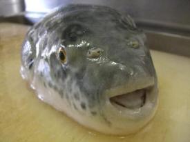 �ɂ���